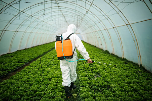 Best Residential Pest Control  in Hastings, MN