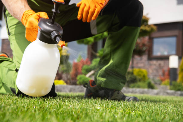 Wildlife Control Services in Hastings, MN