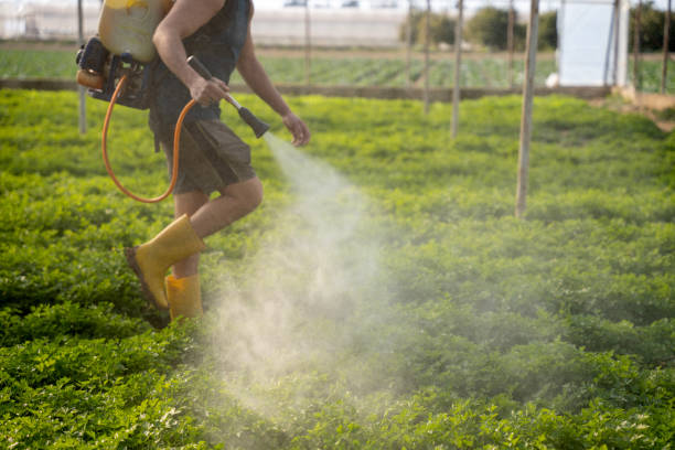 Best Mosquito Control Services  in Hastings, MN