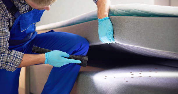 Trusted Hastings, MN Pest Control Experts